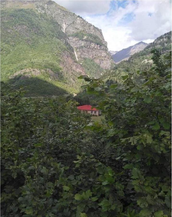 Guest House Malkhaz Niguriani Zhabeshi Bagian luar foto