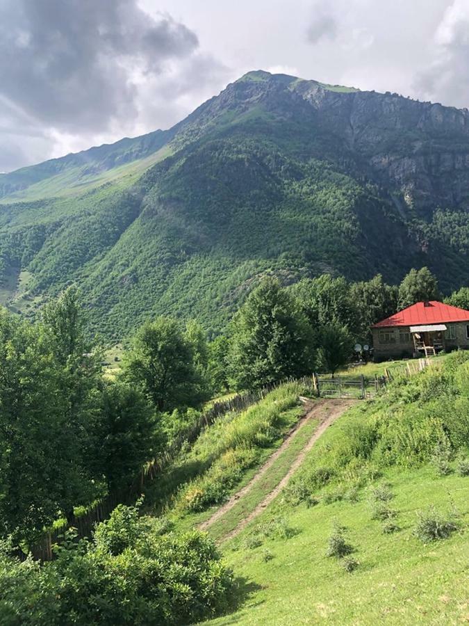 Guest House Malkhaz Niguriani Zhabeshi Bagian luar foto